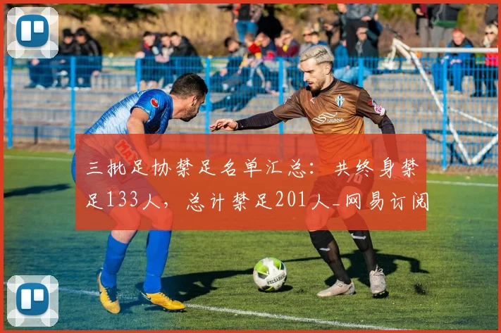 三批足协禁足名单汇总：共终身禁足133人，总计禁足201人_网易订阅